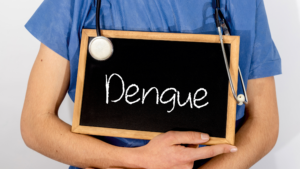 <strong>Quais são os sintomas da dengue?</strong>